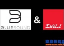 Bluesound和DALI（达尼）达成合作关系