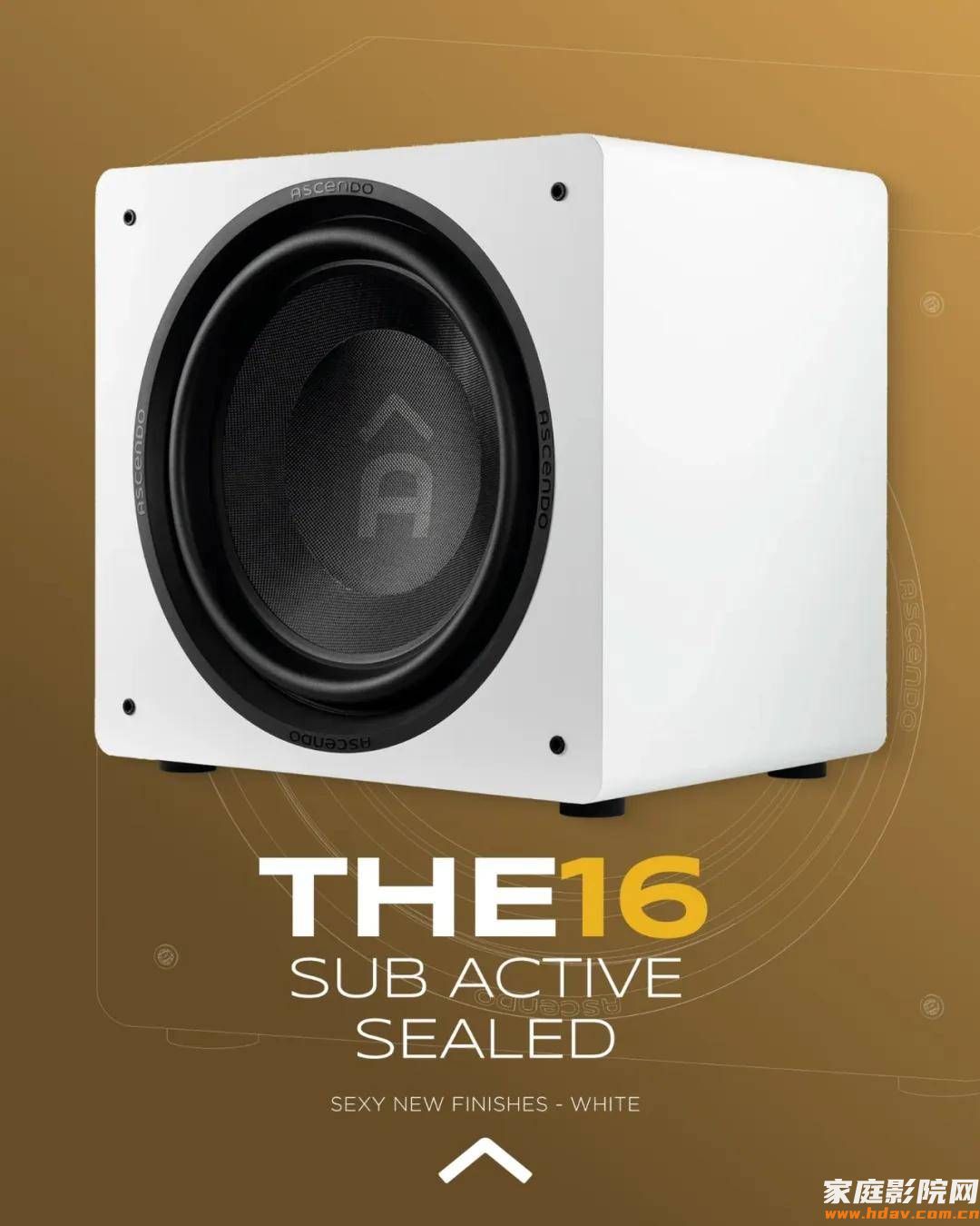 打破行业偏见:德国Ascendo 阿斯顿THE16 SUB,一台颠覆认知的密闭式低音炮 (图10) 文章配图-1