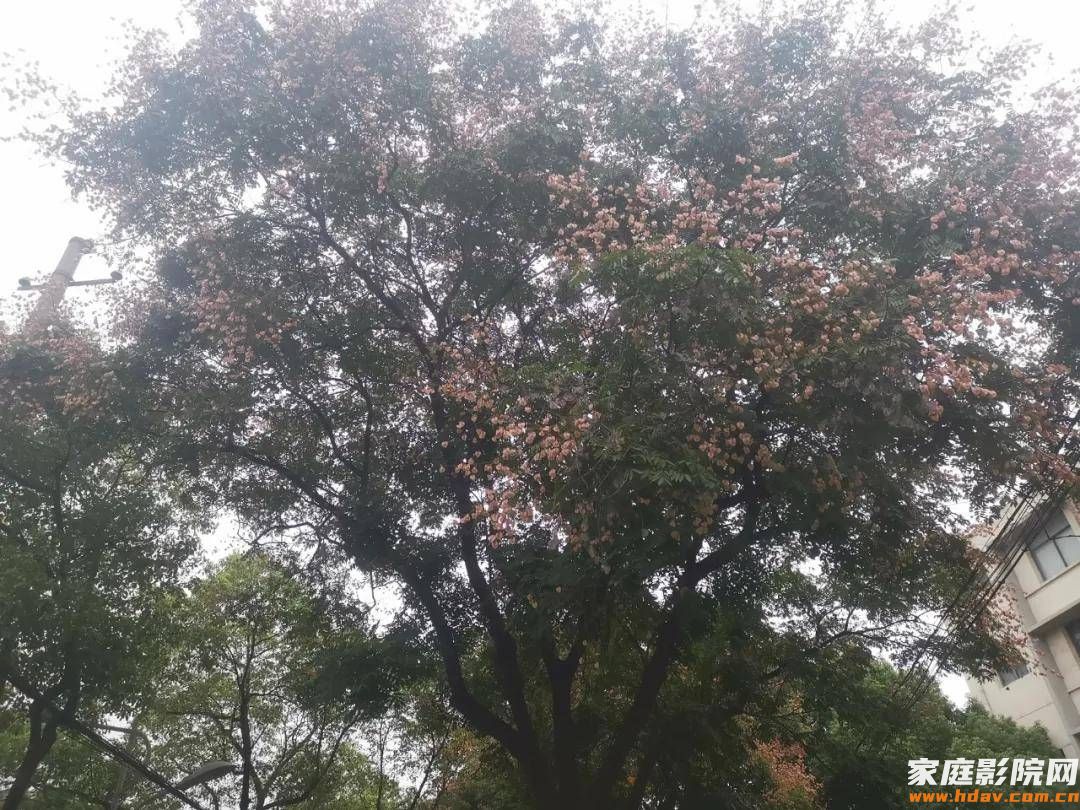 有窗的房间能装家庭影院吗?藏在别墅二楼的7.2.4全景声影音室 (图1) 文章配图-1