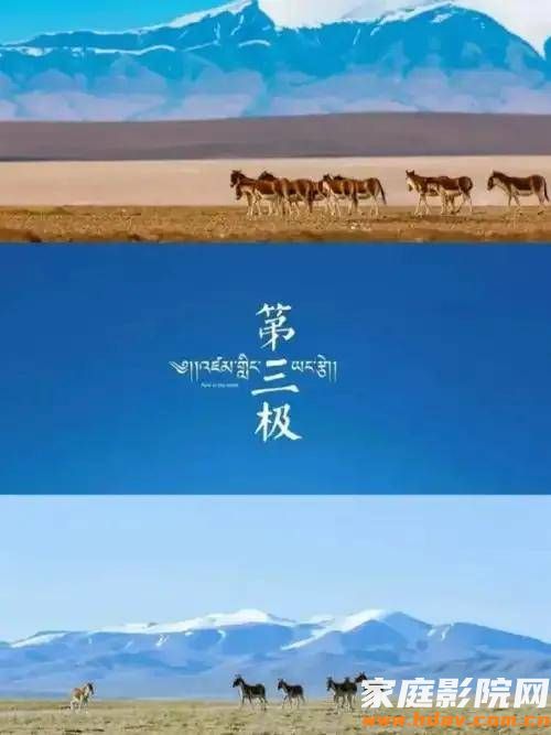 孩子暑假看点啥?12部神级纪录片分享(图12) 文章配图-1