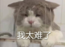 一个很变态……但可以光速学会